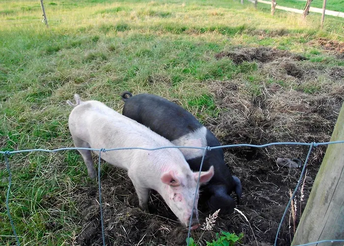 Ralf Becker Nr1 公寓